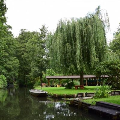 开元appapp下载截图